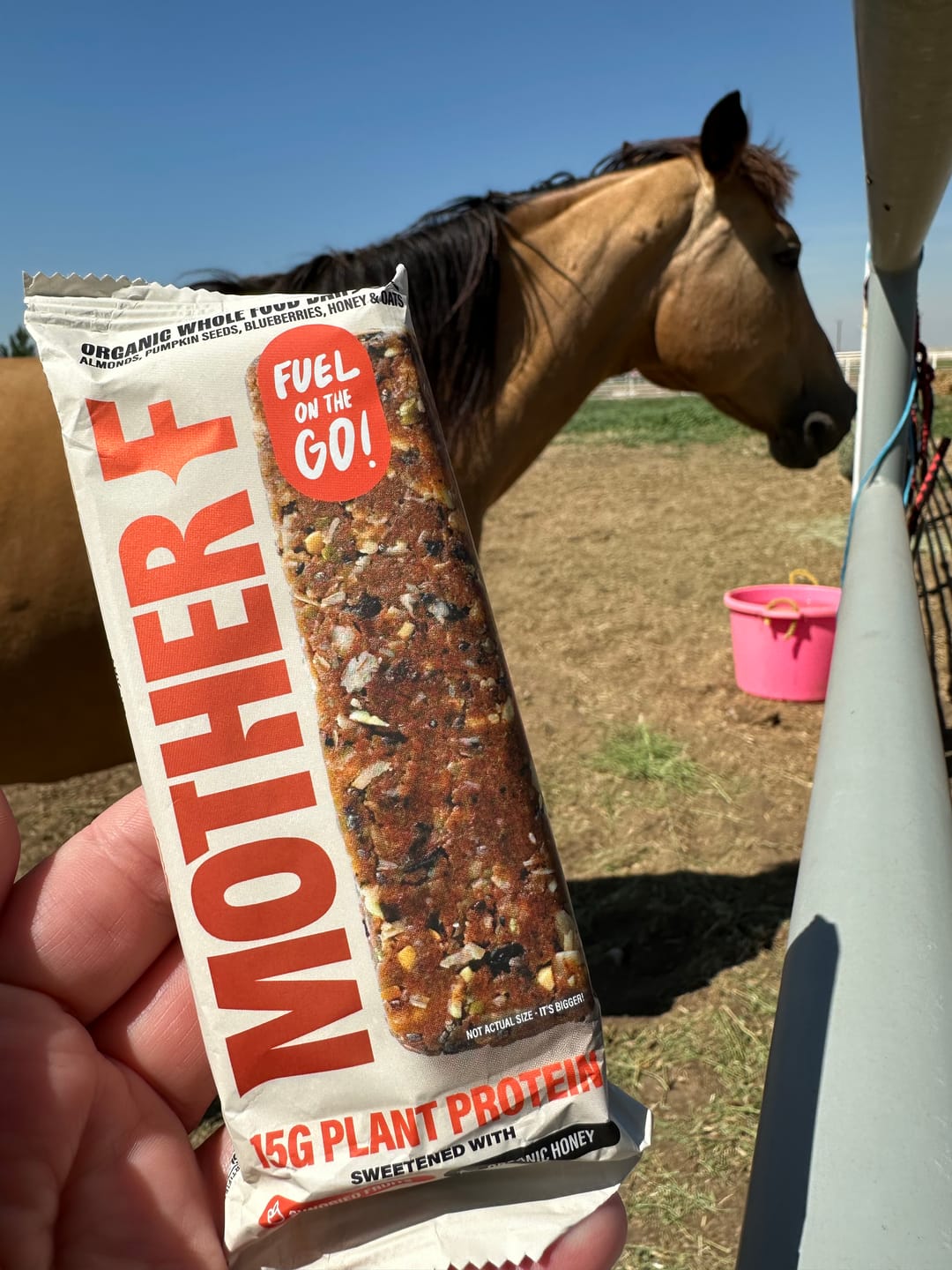 Customer photo review of 50g Mother F Bar