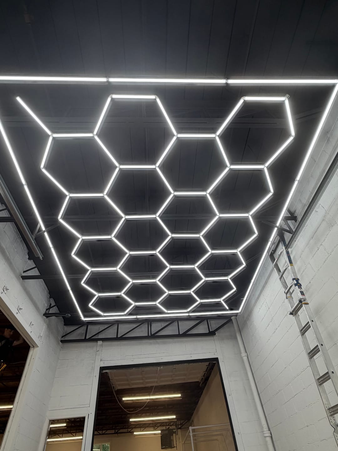 Customer photo review of Hexagon Garage Lights - Color Selectable