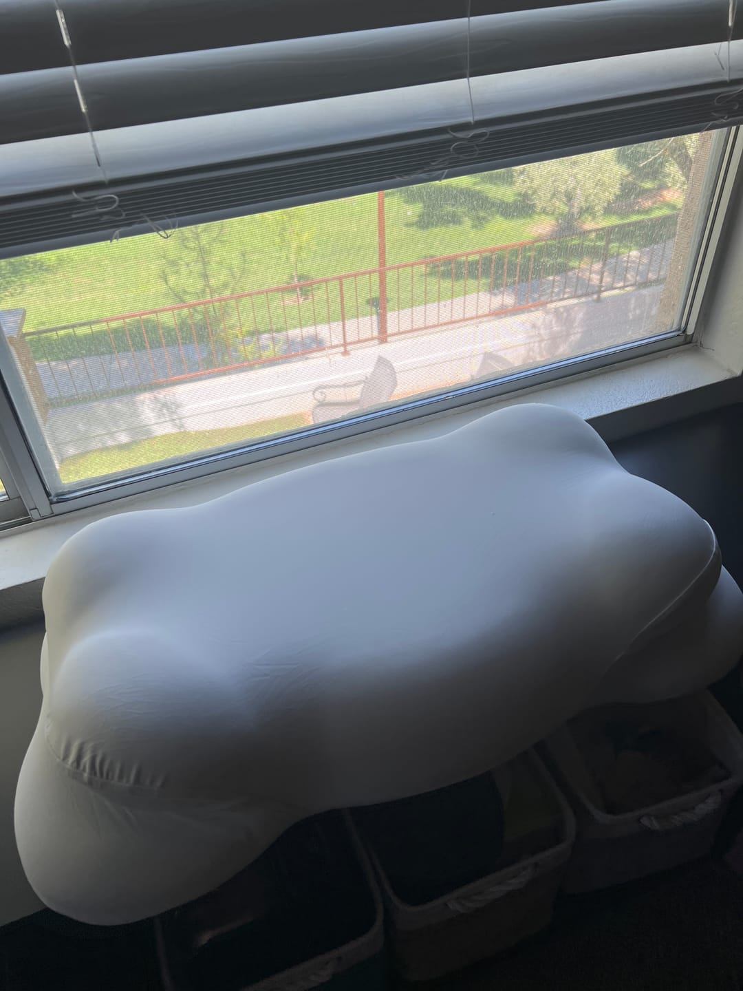 Customer photo review of CloudAlign™ Pillow