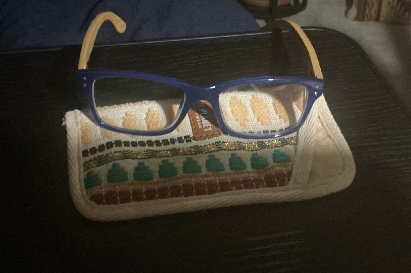 Customer photo review of BOHO READERS GLASSES CASE
