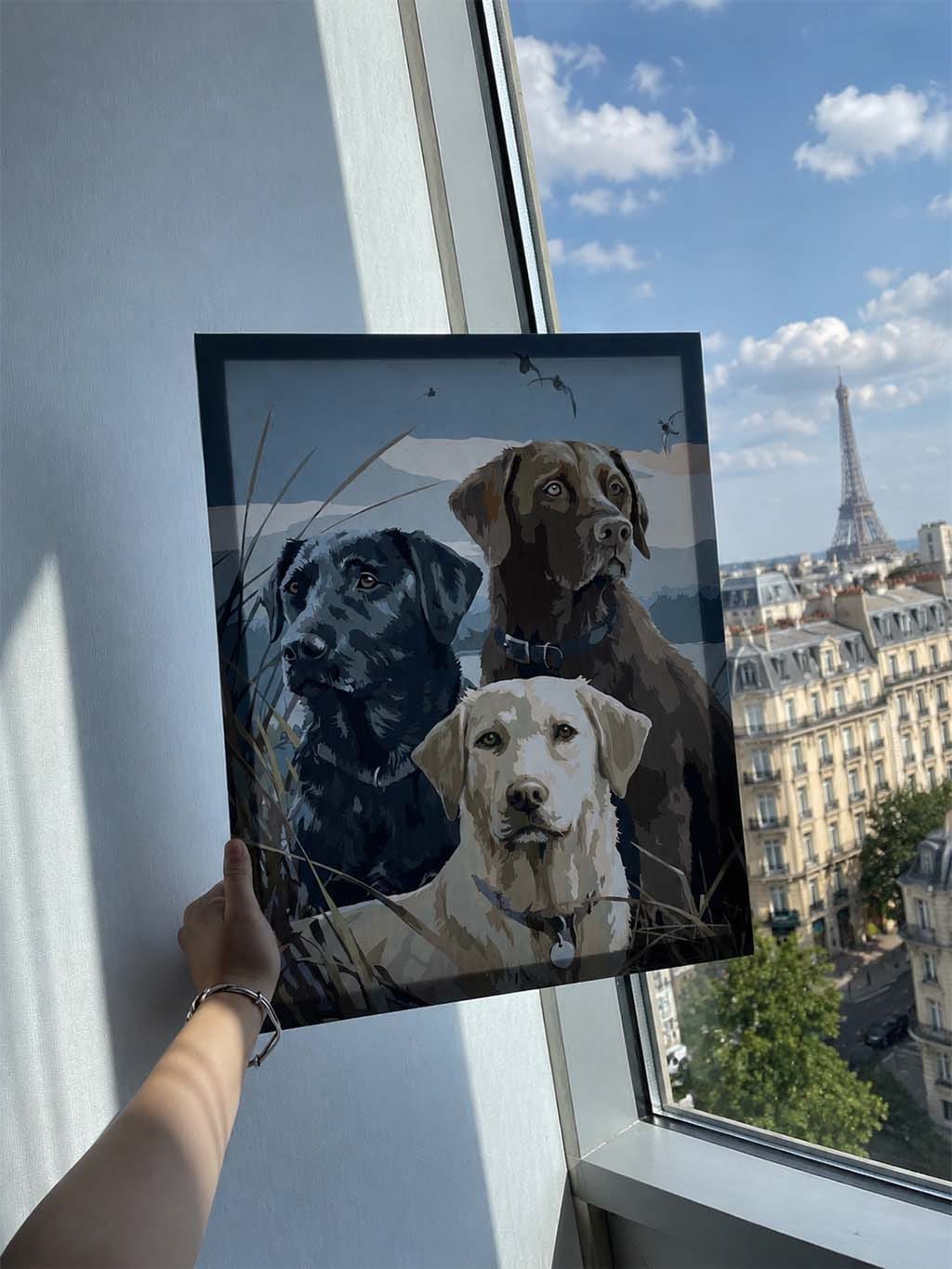 Customer photo review of Trio de Labrador