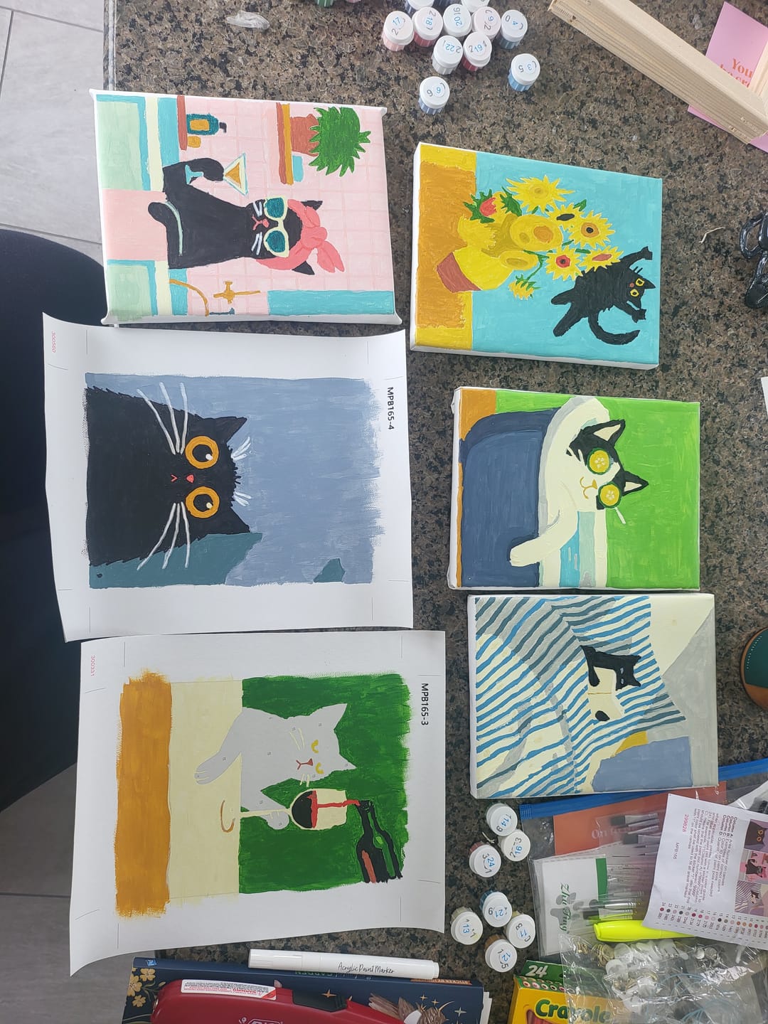 Customer photo review of 6 Mini Paintings - Crazy Cat Set