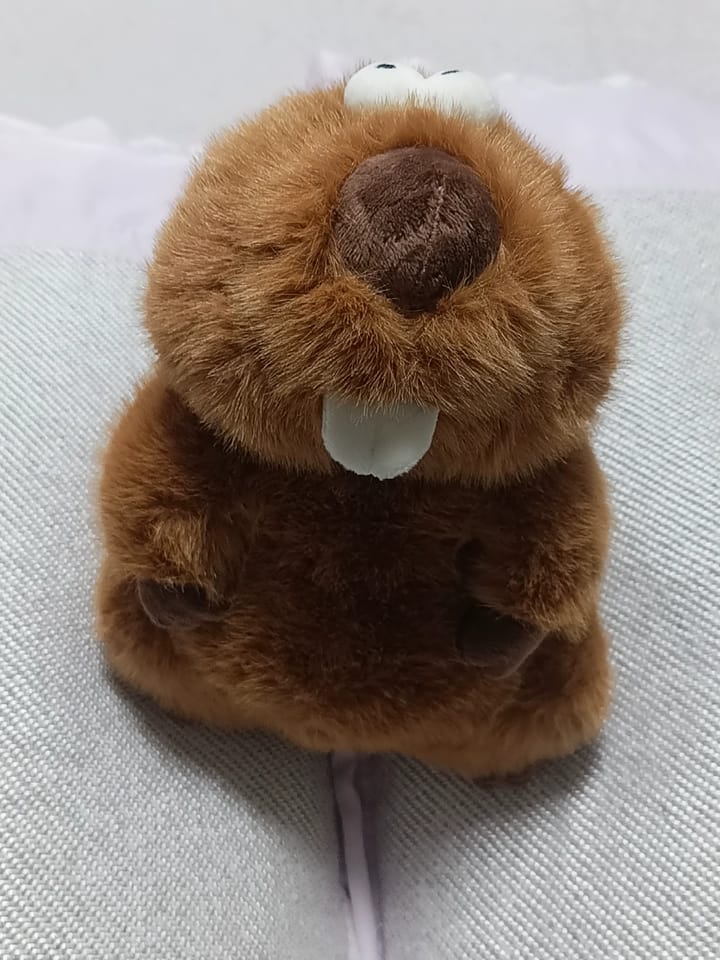Customer photo review of Dan Marmot