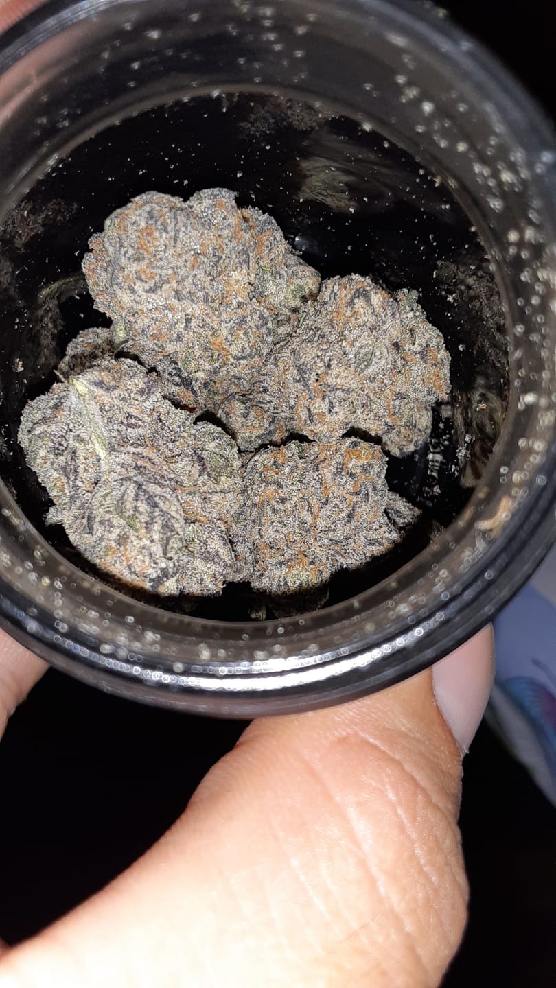 Customer photo review of Blue Lobster 8 Grams