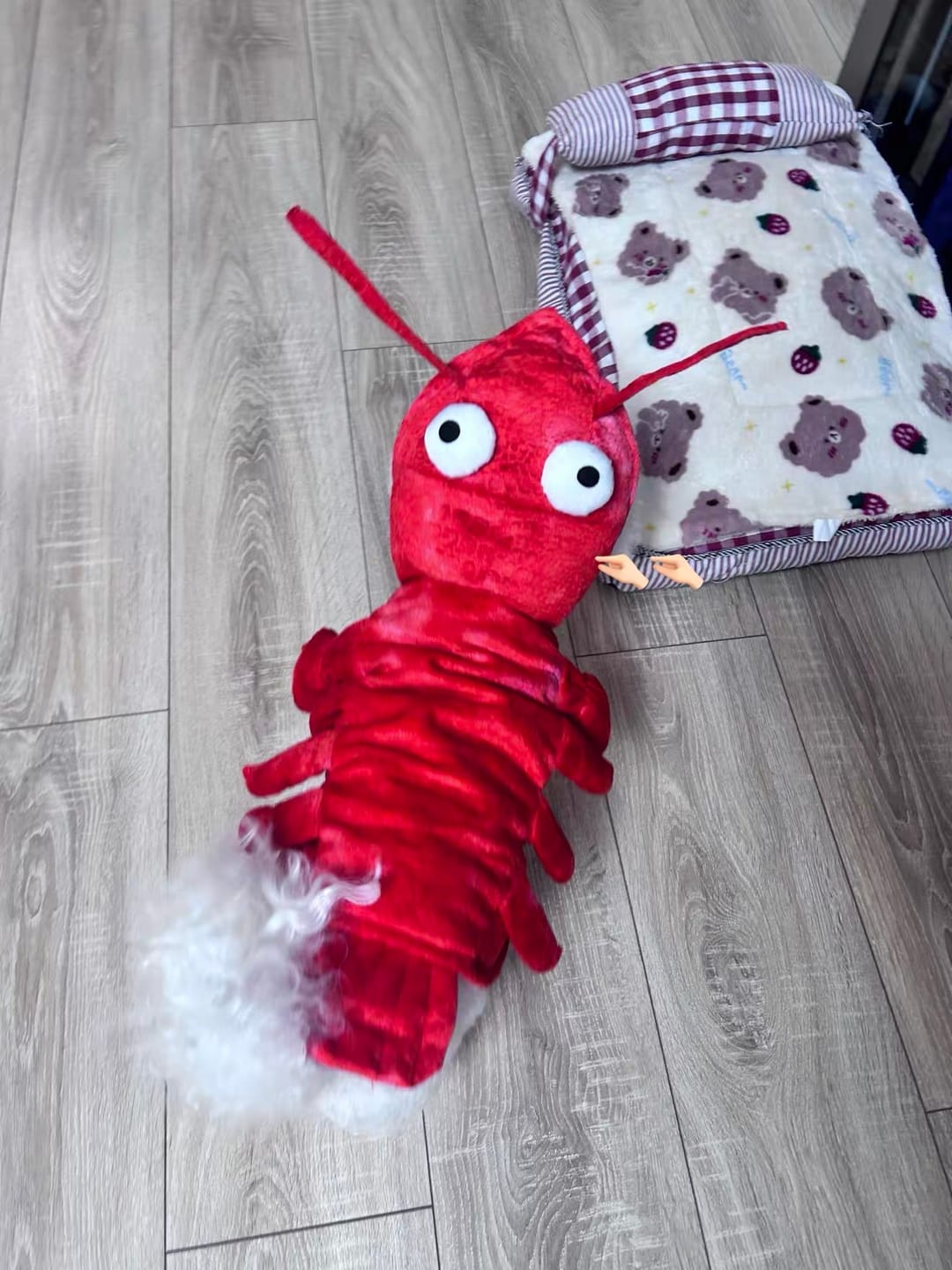 Customer photo review of Lobster Costume