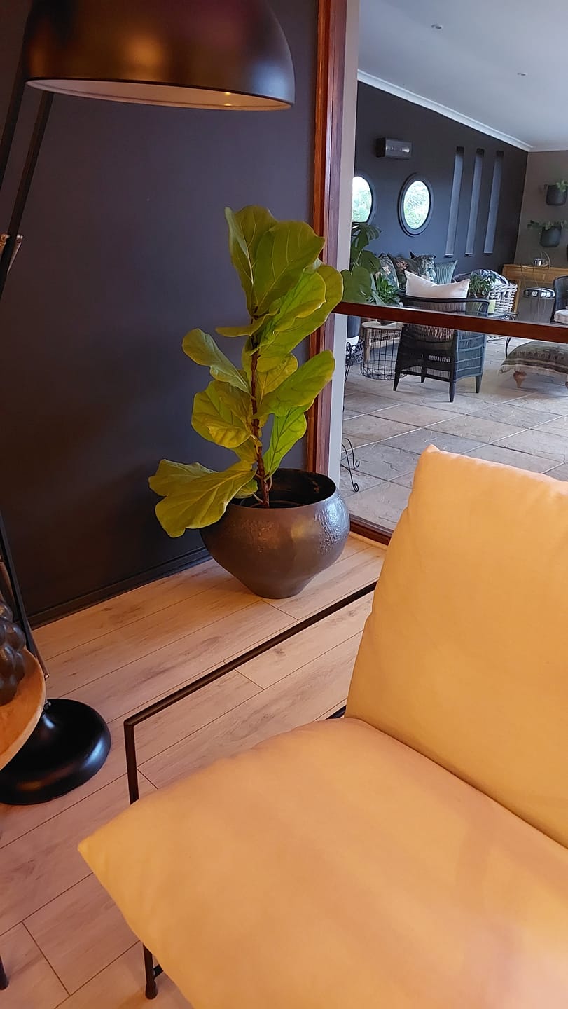 Customer photo review of Noxani Tribal Ornamental Vase | Pot Oversized