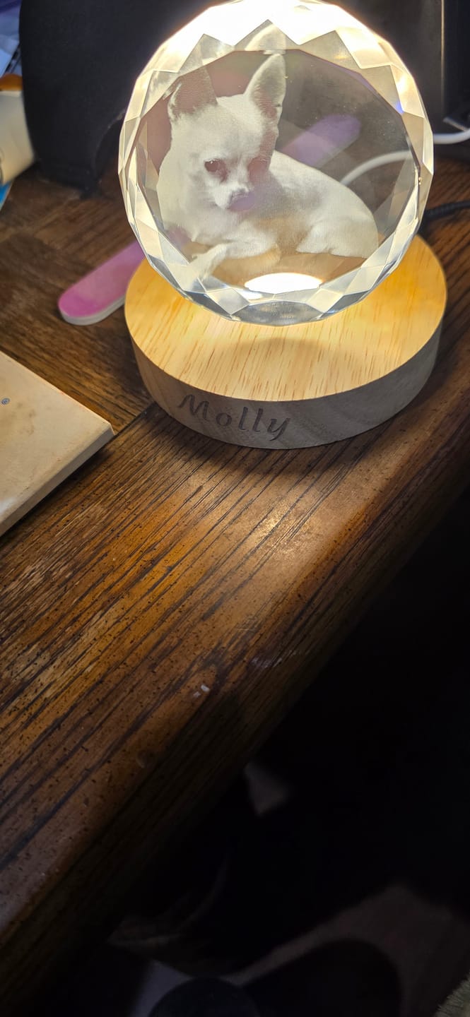 Customer photo review of 3D Pet Portrait Sculpting Crystal Night Light