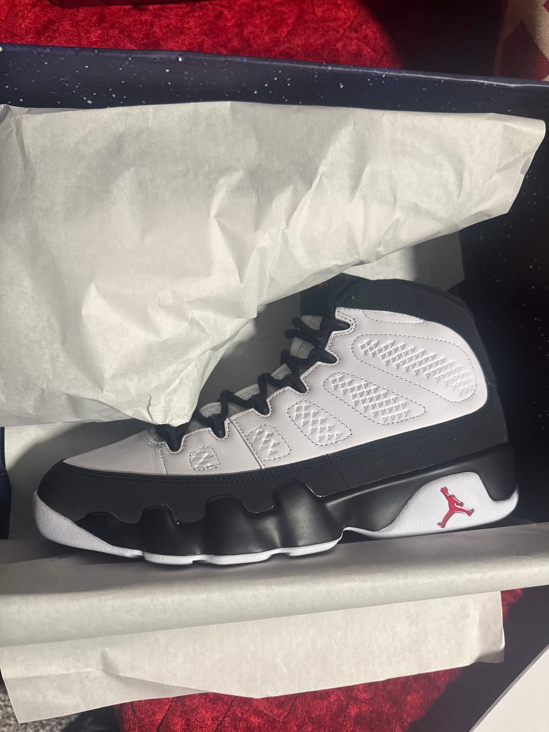 Customer photo review of Air Jordan 9 Retro OG "SPACEJAM"