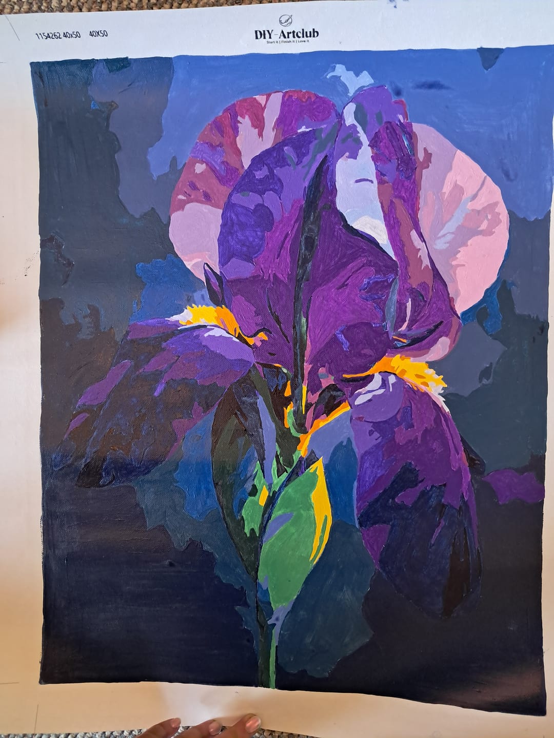 Customer photo review of Velvet Iris | Paint by Number