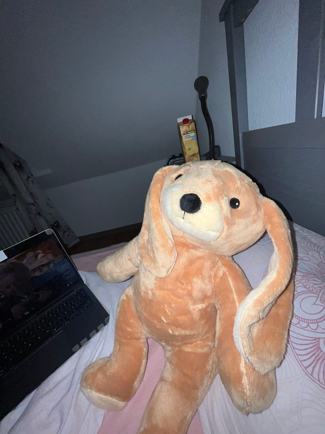 Customer photo review of Lotgenootje Konijn 2kg