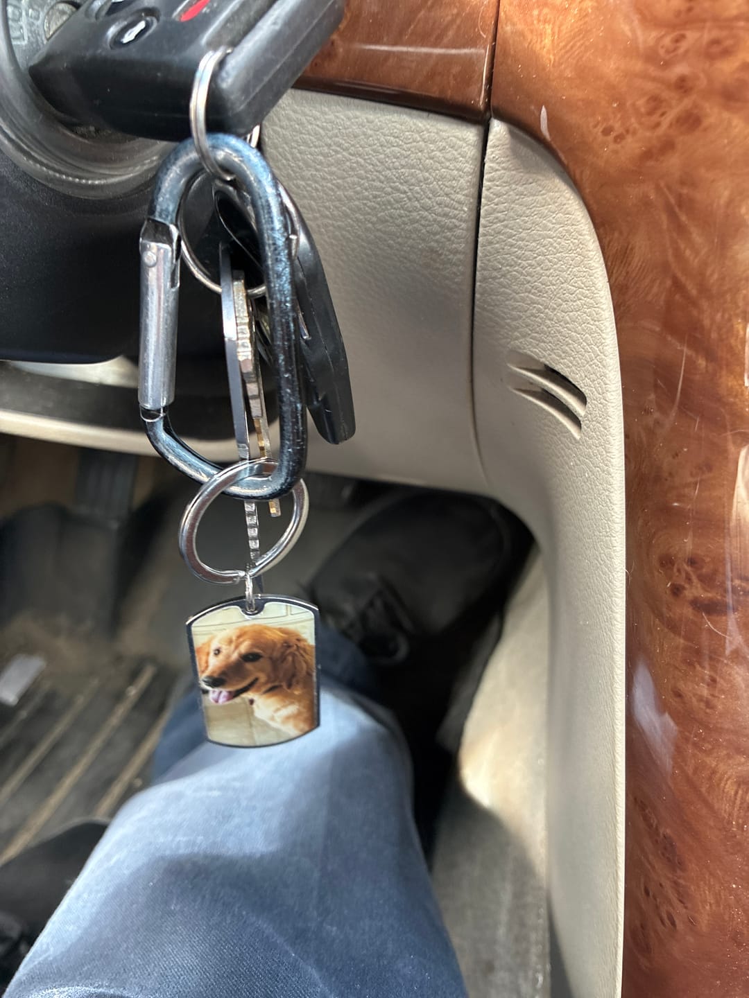 Customer photo review of Personalized Pet Keychain