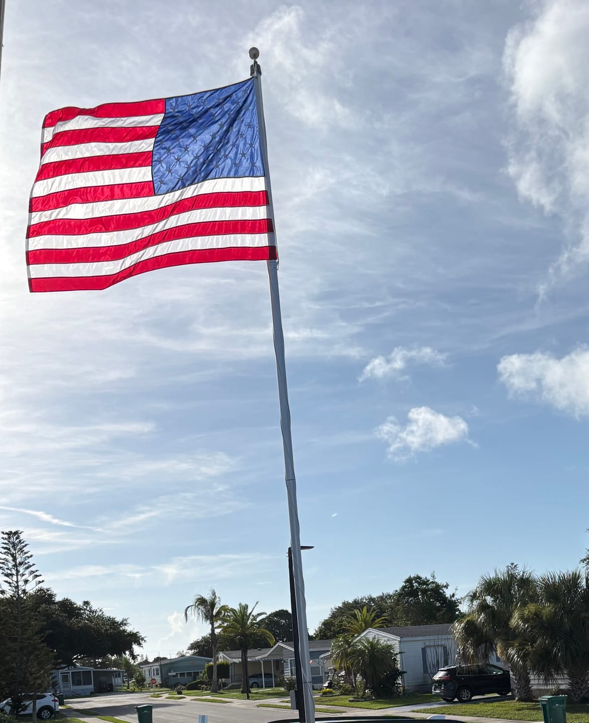 Customer photo review of 4' x 6' American Flag