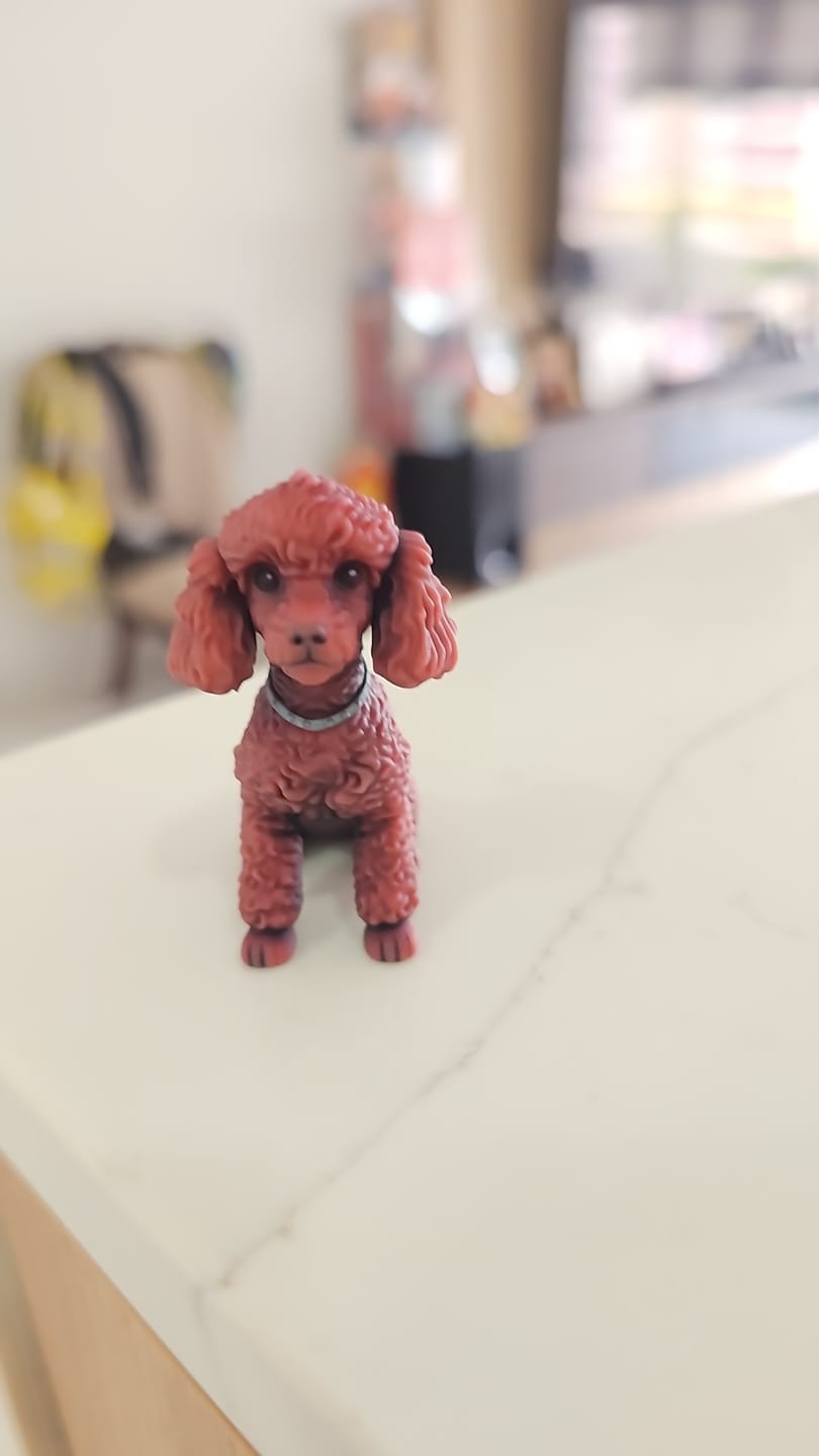 Customer photo review of Personalized Pet 3D Figurine from Photo