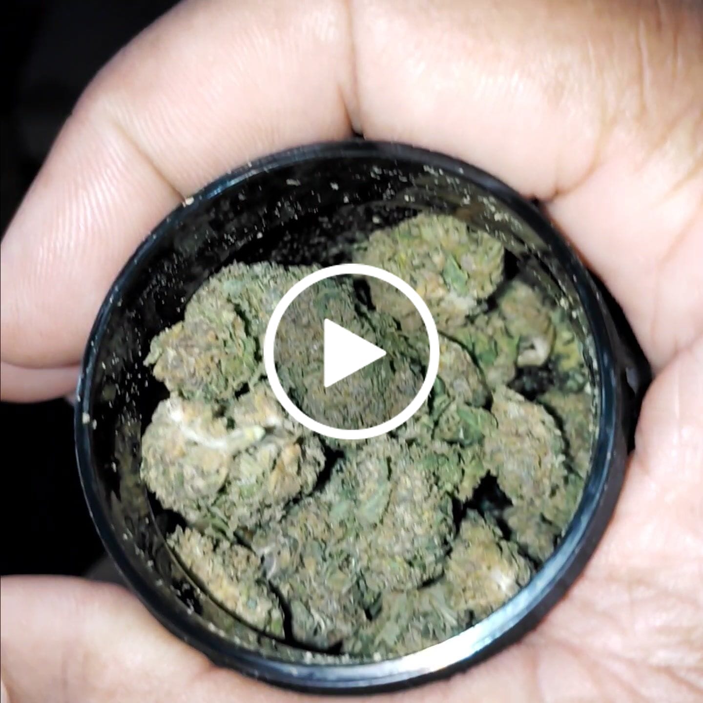 Customer video review of Blackout Berries THCA Flower Ounce (28g)