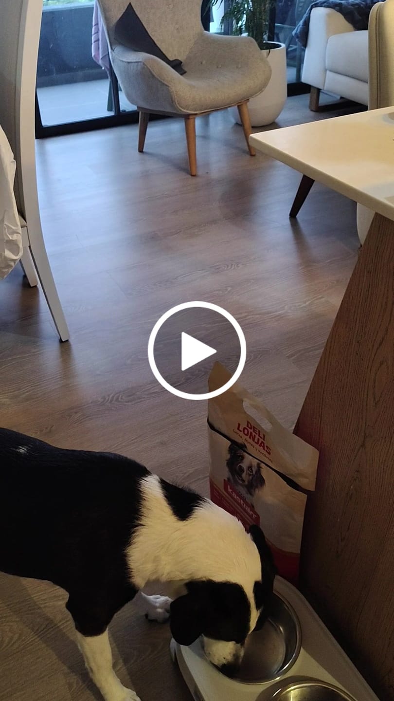 Customer video review of Delilonjas carne, frutas y verduras 4kg