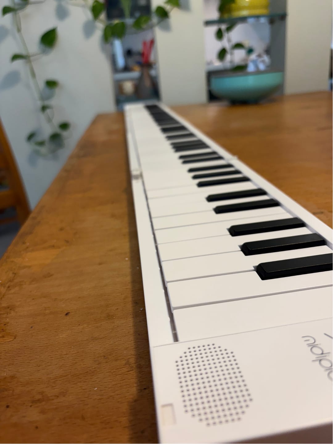Customer photo review of קלידים מתקפלים 88 קלידים