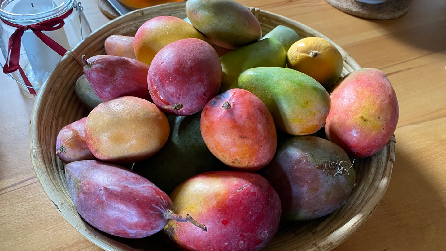 Customer photo review of Mango-Raritäten Mix von Julian