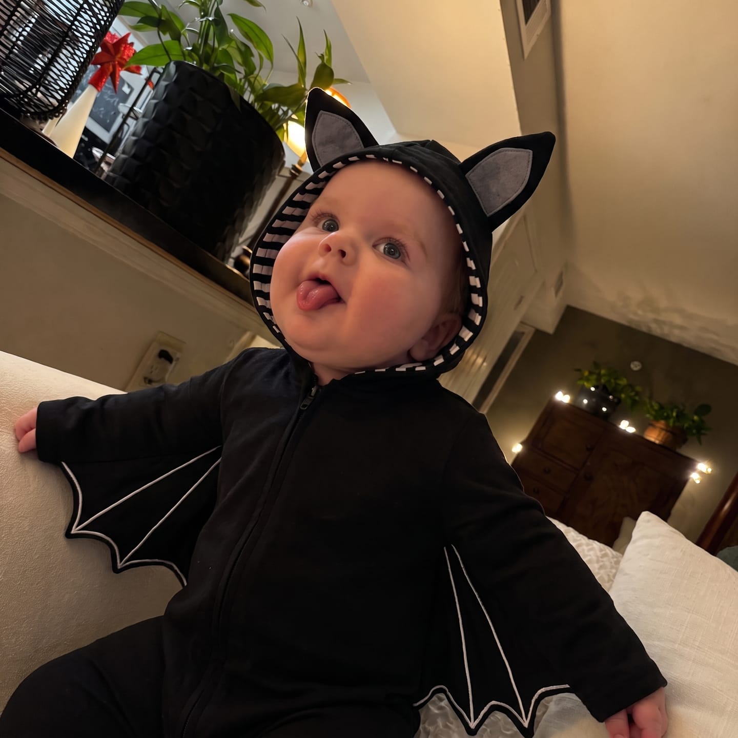 Customer photo review of Baby Bat Costume