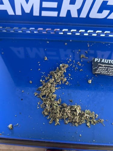 White Widow - 28 Grams – Hybrid photo review