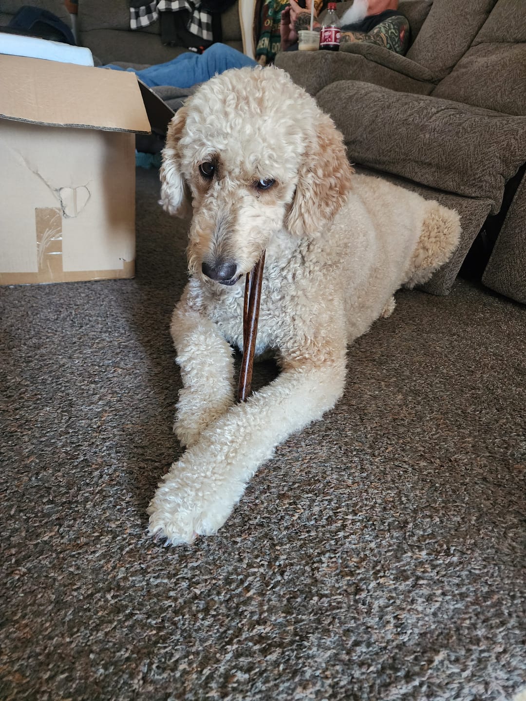 Customer photo review of Super Bull Sticks