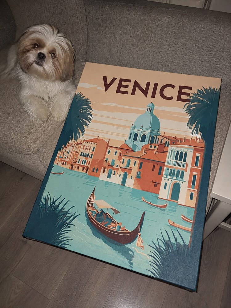 Customer photo review of Affiche Vintage Venise