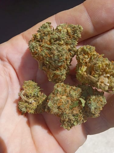 Blueberry Syrup - Bulk - Indica photo review