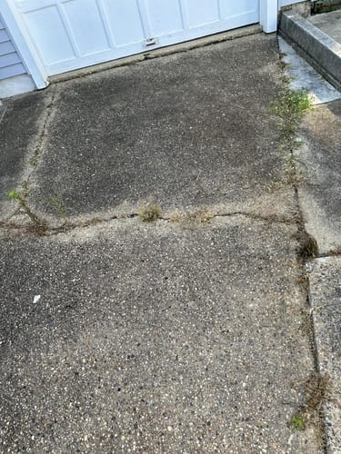 Customer photo review of 🔥🔥2026 SALE - Fast-Acting Natural Weed & Grass Killer Spray