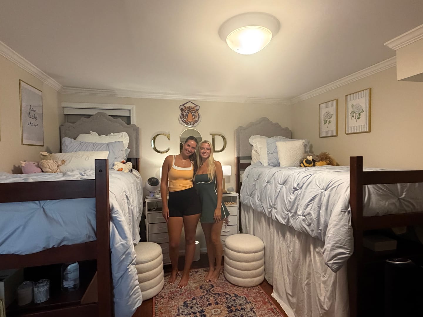 Customer photo review of Tiger Embroidered Pillow