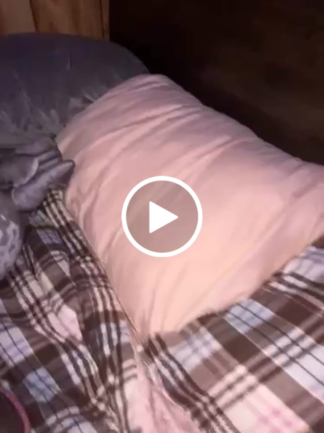 Customer video review of Puff Pillow