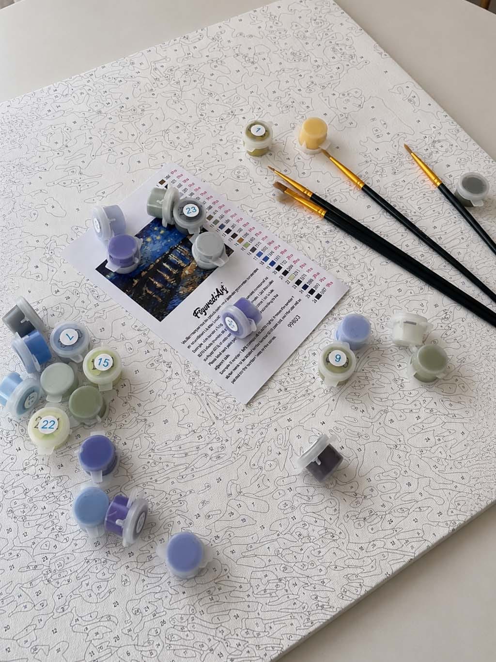 Customer photo review of Van Gogh Nuit Etoilée sur le Rhône