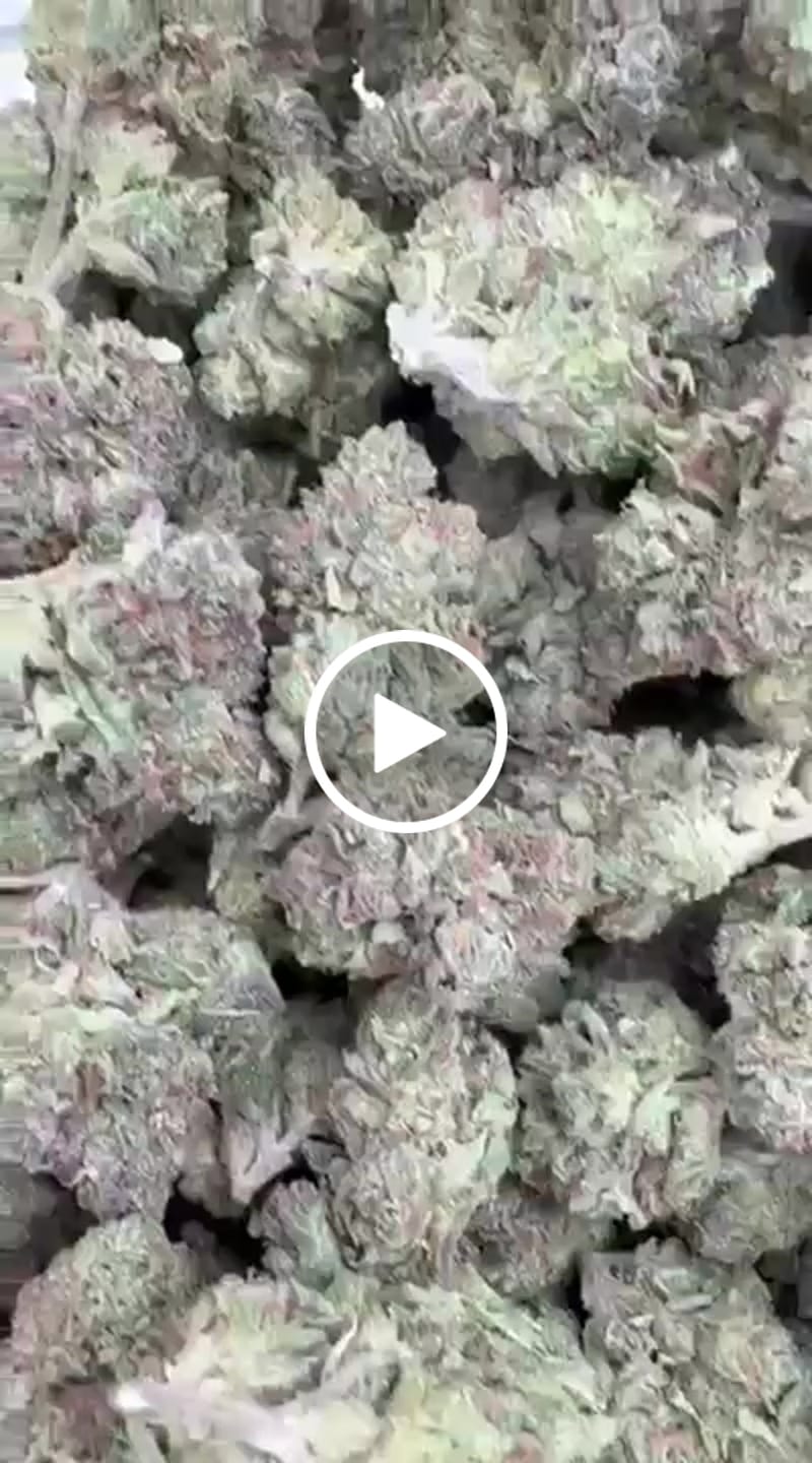 Customer video review of Jager Sour Diesel Mediums - Bulk Mediums - Sativa