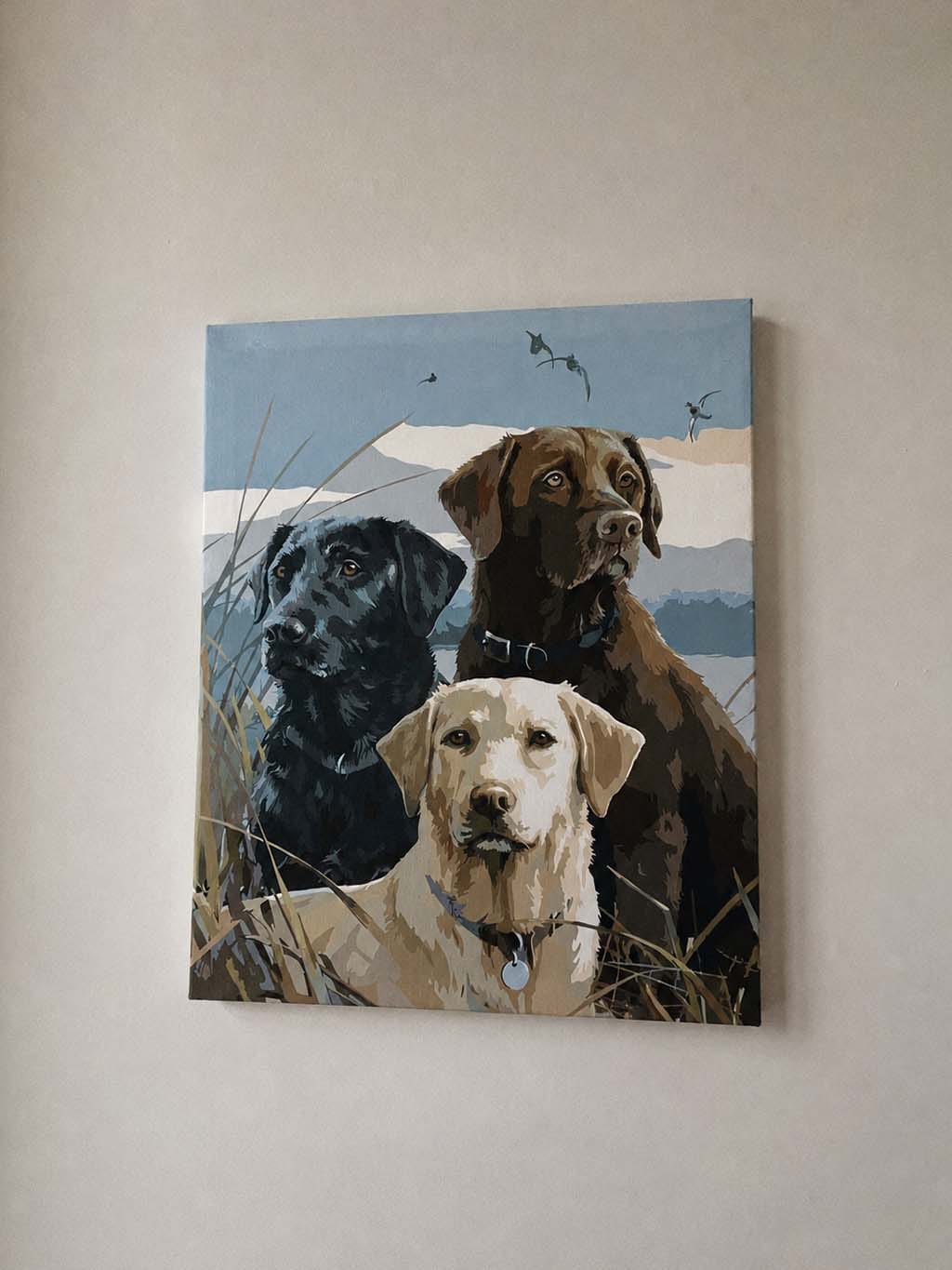 Customer photo review of Trio de Labrador