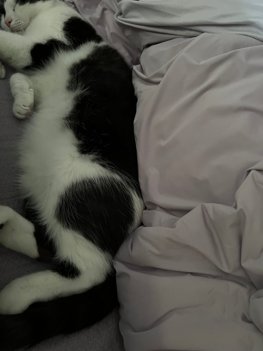 Customer photo review of CloudCool™ Cooling Comforter