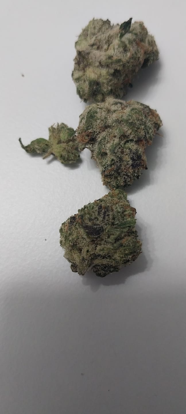 Customer photo review of Zkittlez THCA Flower (Budget)