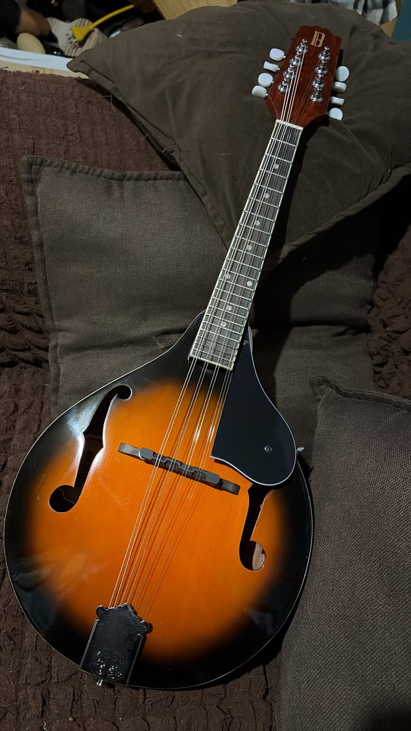 Customer photo review of Mandolina  Sunburst Etinger Acústica 8 Cuerdas