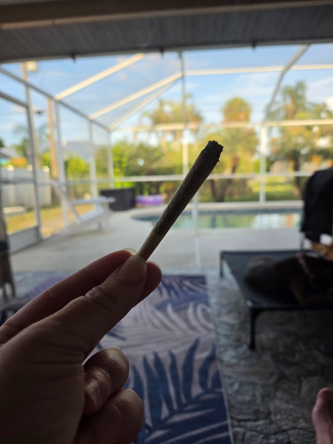 Customer photo review of Biscotti Cake - 28 Grams - Hybrid