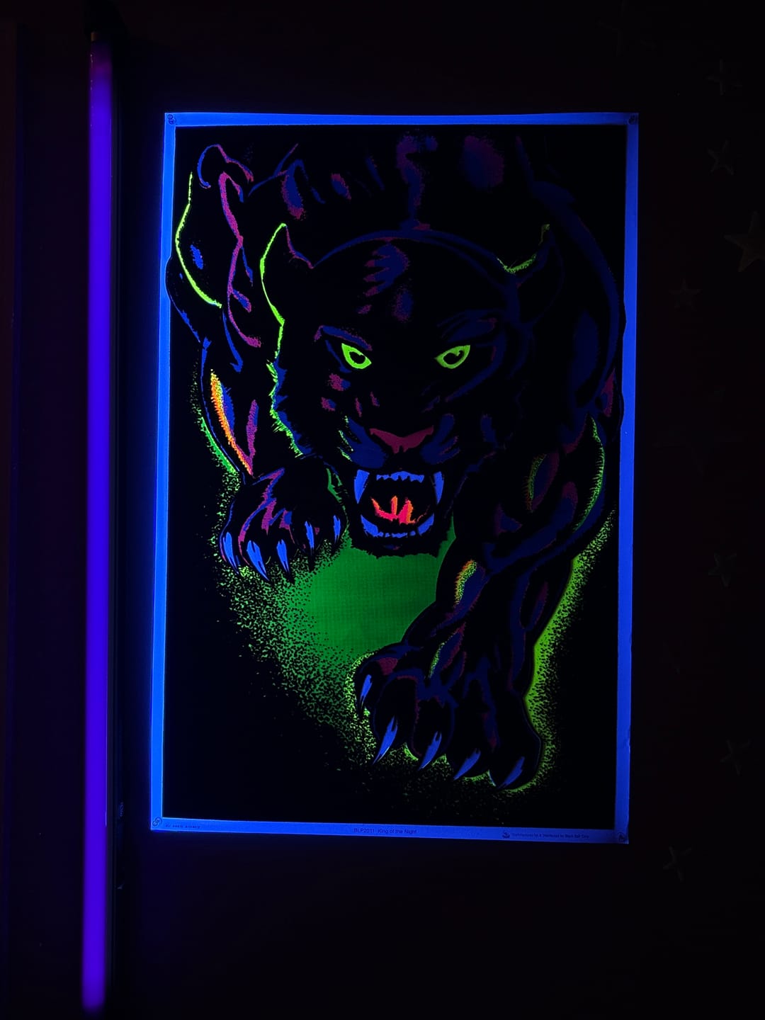 Customer photo review of Black Panther King of the Night - Velvet Black Light Poster