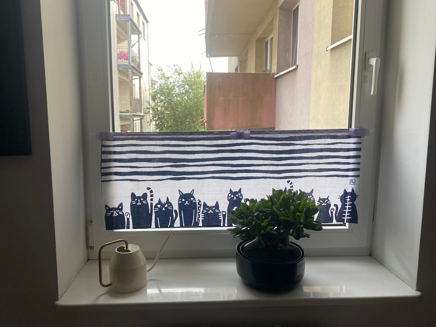 Customer photo review of Japońskie Tenugui 100% Bawełny z Kotami