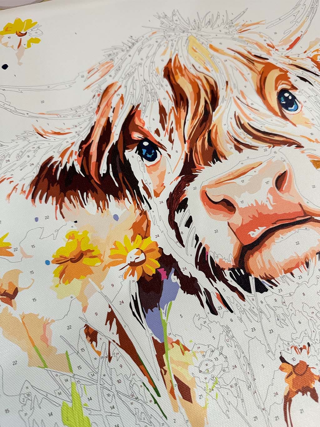 Customer photo review of Portrait printanier vache Highland