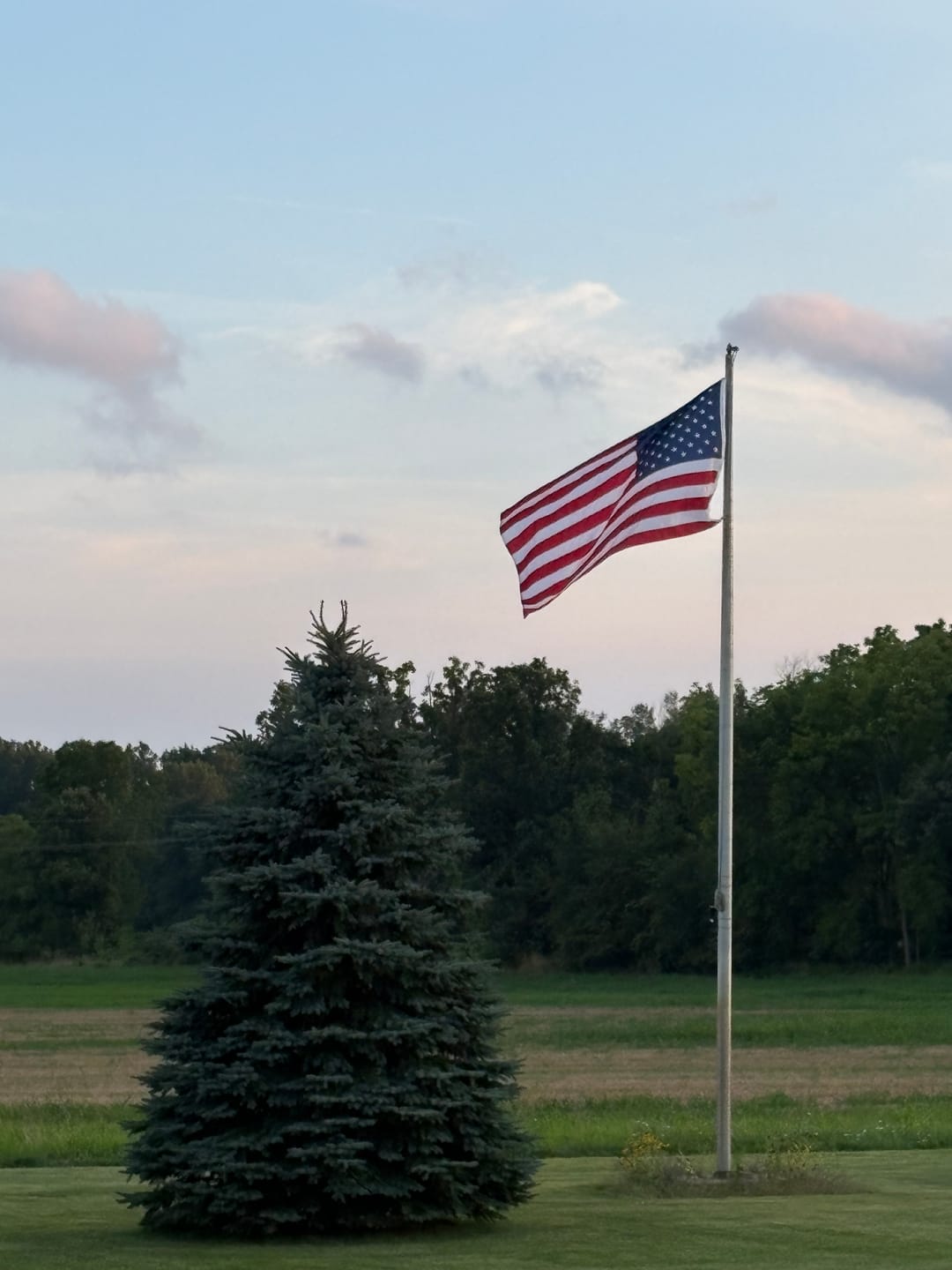Customer photo review of 6' x 10' American Flag