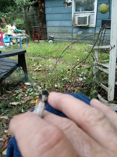 Customer photo review of THCA Queen