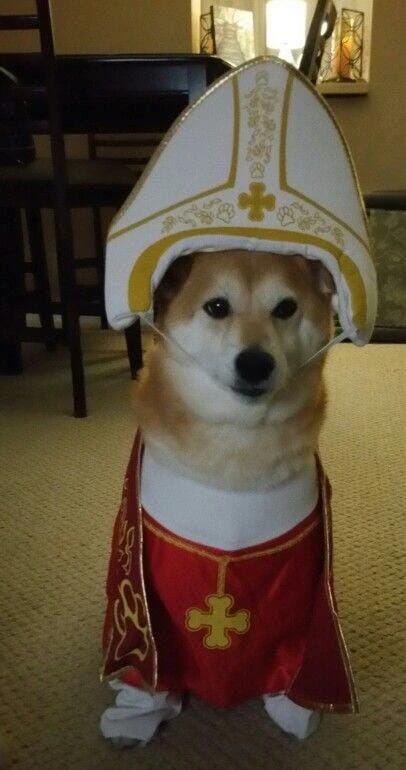 Customer photo review of Costumes Dog Pope Outfit