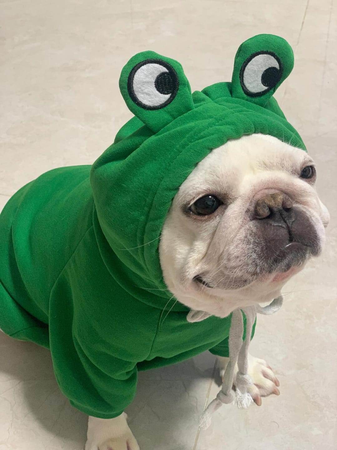 Customer photo review of Frog Hoodie Fleece Sweater