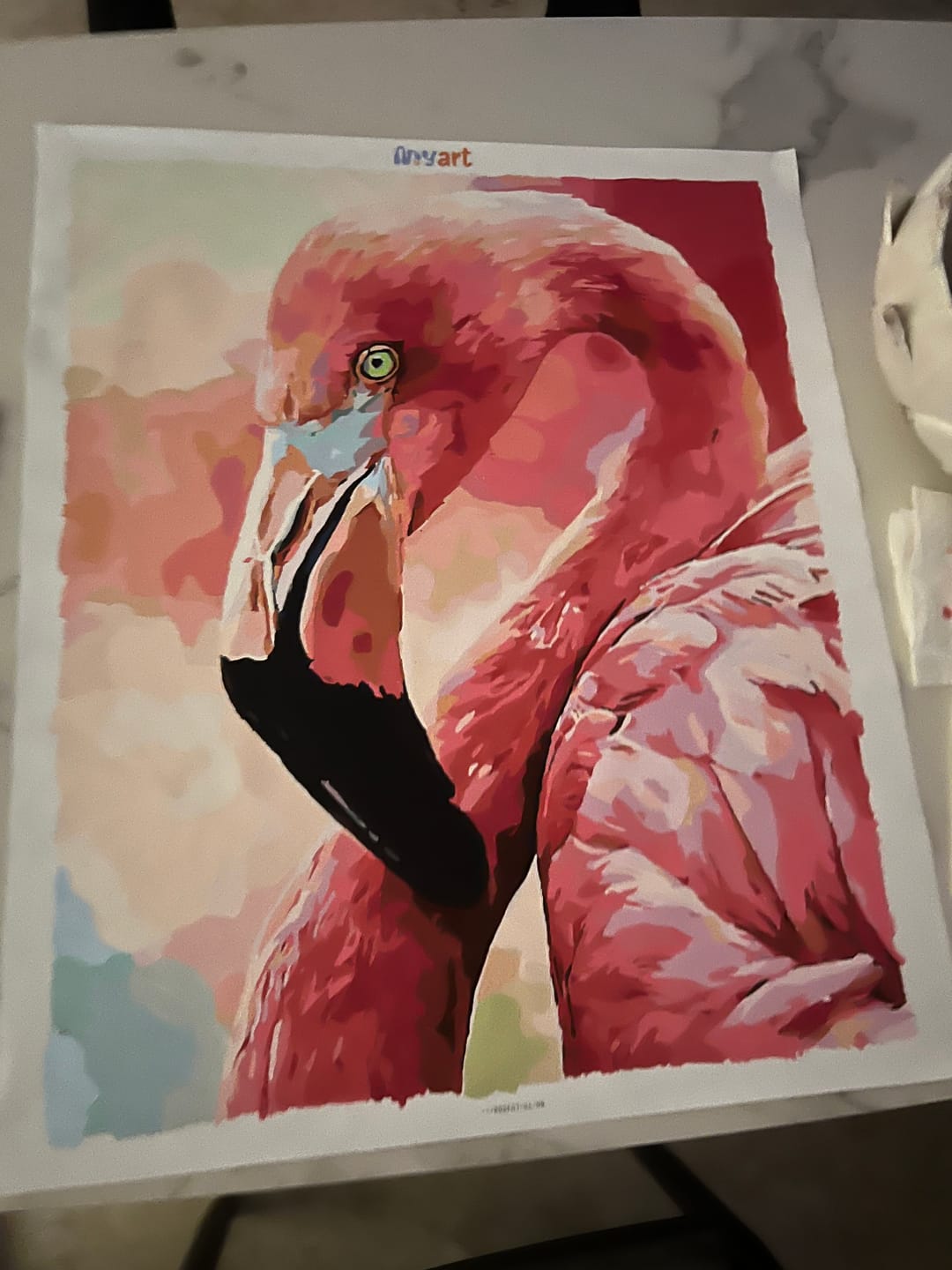 Customer photo review of Gentle Flamingo