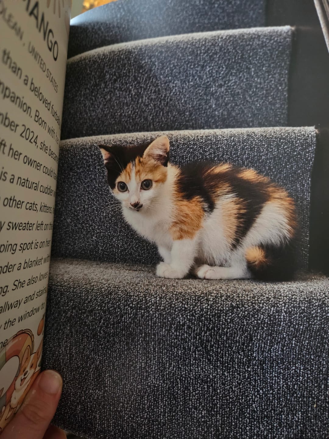 Customer photo review of Cutest Pets of Pupvote Summer 2026