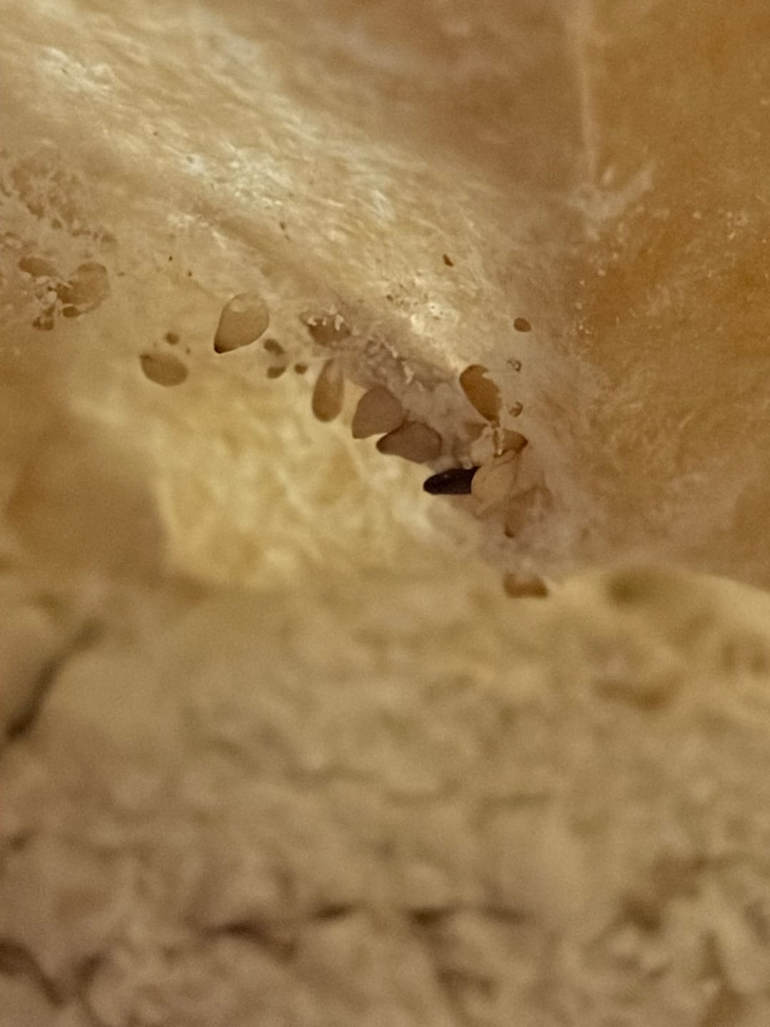 Customer photo review of HILDE - glutenfreie Bio-Brotbackmischung