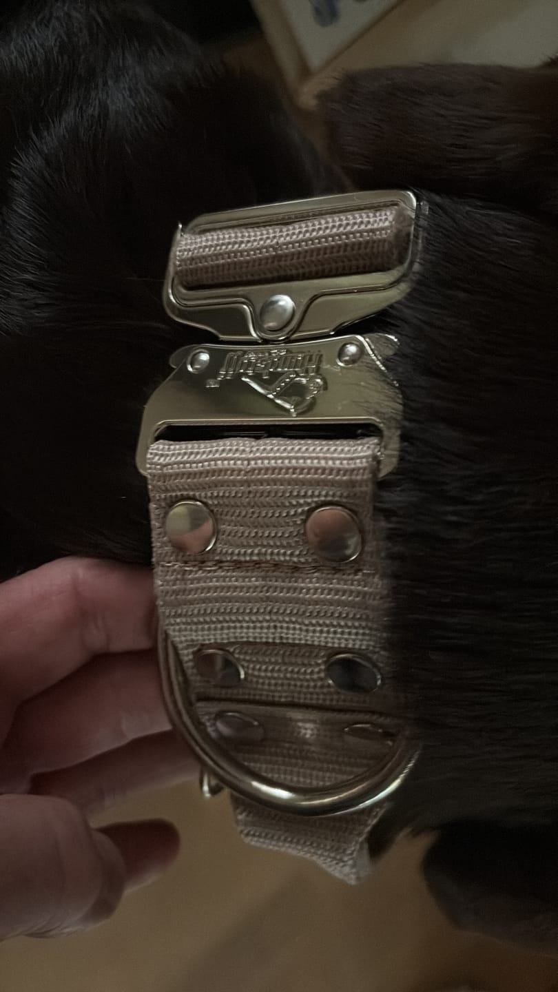 Customer photo review of Guard Leash Camo Black - Väktarkoppel med extra handtag