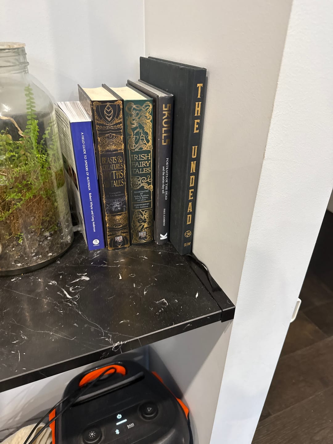 Customer photo review of THE UNDEAD - SIGNED BOOK & PRINT
