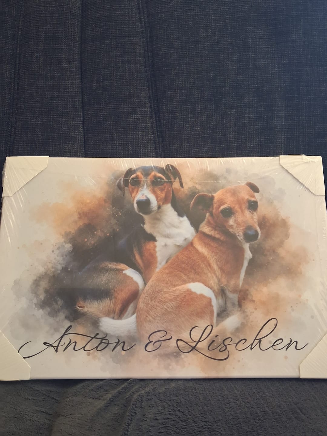 Customer photo review of Dein Haustier als Kunstwerk – mit Live-Vorschau, als Poster oder Leinwand