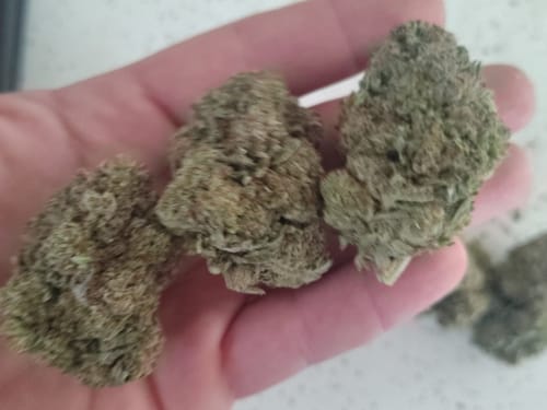 Truffle - Bulk - Indica photo review